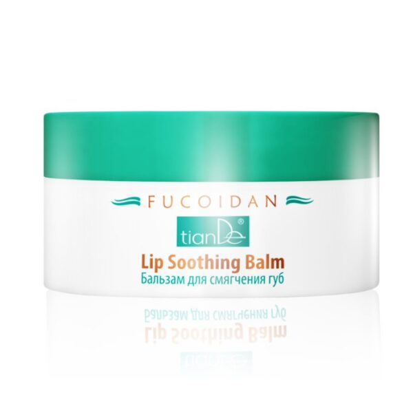 Fucoidan balzam za usne, 10g